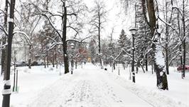 Левашовский бульвар